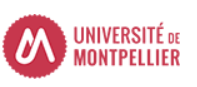 Universite Montpellier